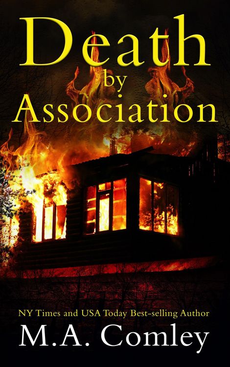 Produktbild: Death by Association (Wellington Cozy Mystery Series, #2)