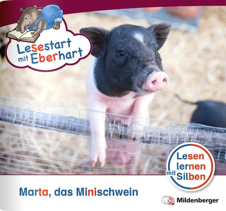 Produktbild: Lesestart mit Eberhart: Marta das Minischwein