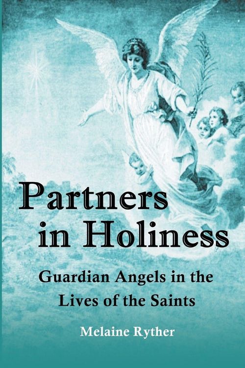 Produktbild: Partners in Holiness
