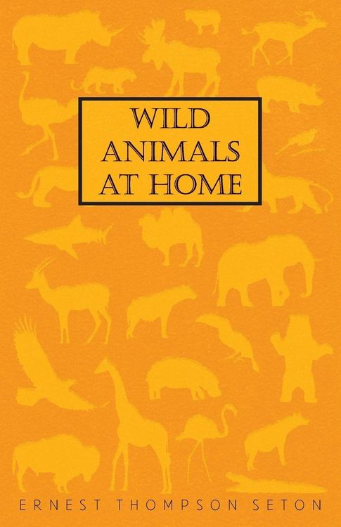 Produktbild: Wild Animals at Home