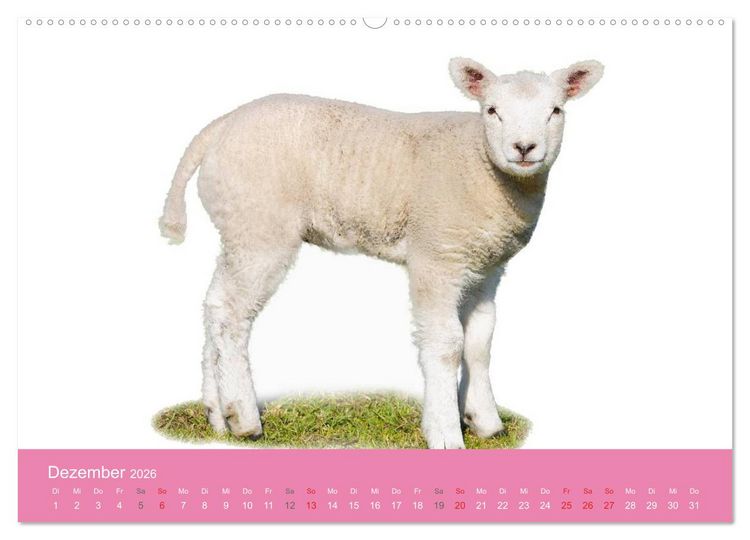Produktbild: S&uuml;&szlig;e Tier-Babys! (hochwertiger Premium Wandkalender 2026 DIN A2 quer), Kunstdruck in Hochglanz