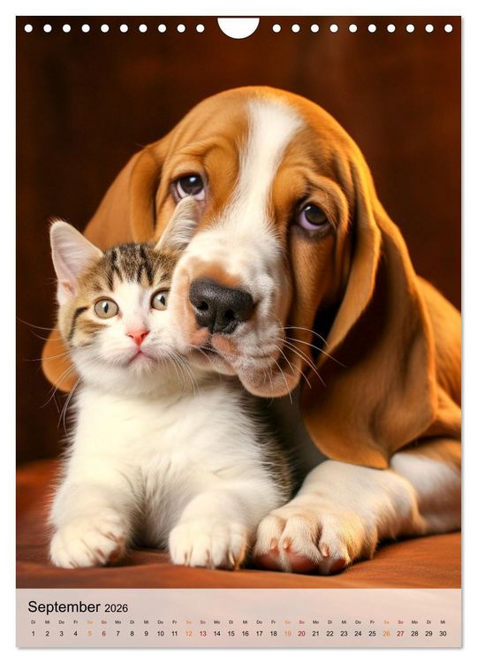 Produktbild: Basset Hound - freundlich und anh&auml;nglich (Wandkalender 2026 DIN A4 hoch), CALVENDO Monatskalender