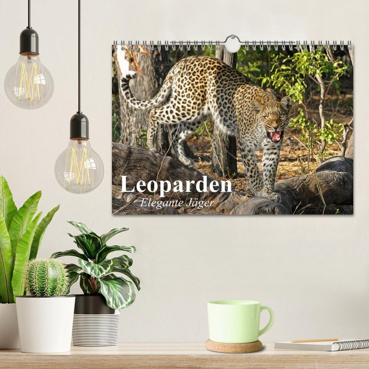 Produktbild: Leoparden. Elegante J&auml;ger (Wandkalender 2026 DIN A4 quer), CALVENDO Monatskalender
