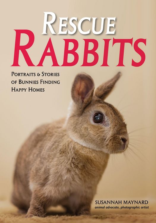 Produktbild: Rescue Rabbits