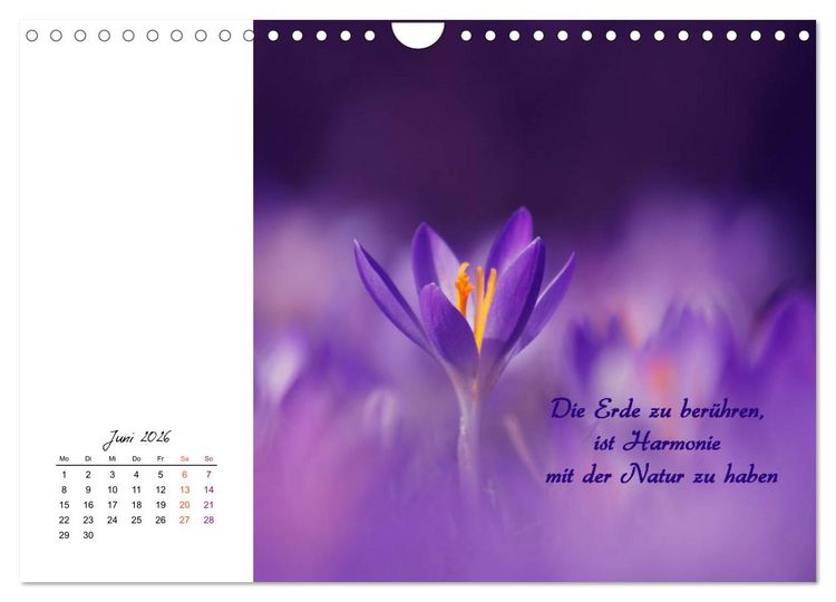 Produktbild: Innehalten in der Natur ... mit Weisheiten und Sprichworten der Indianer (Wandkalender 2026 DIN A4 quer), CALVENDO Monatskalender