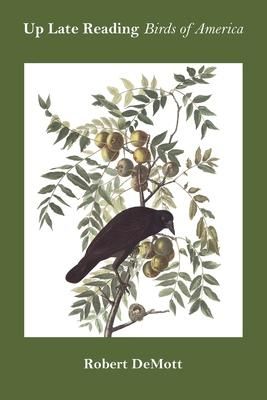 Produktbild: Up Late Reading Birds of America