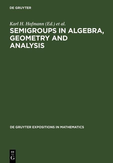 Produktbild: Semigroups in Algebra, Geometry and Analysis