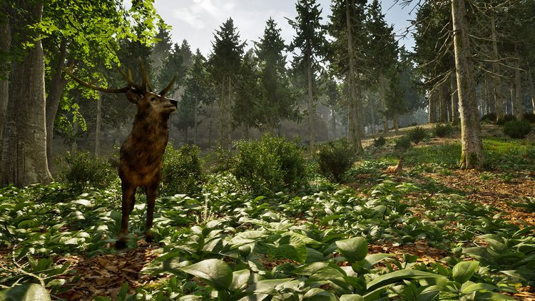Produktbild: Park Ranger Simulator