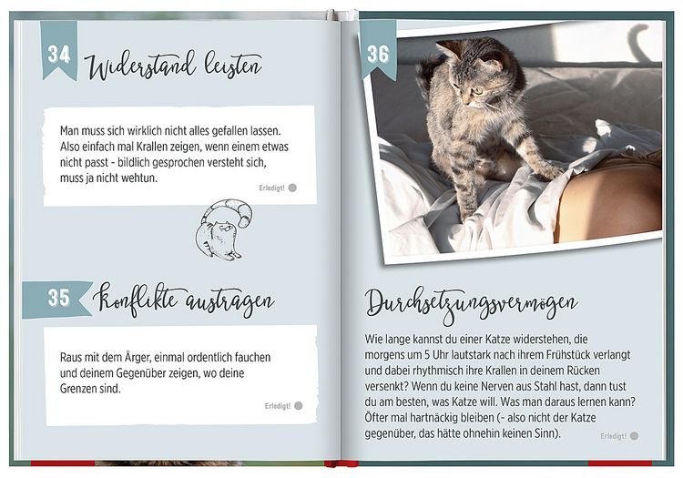 Produktbild: 100 Dinge, die man von einer Katze lernen kann