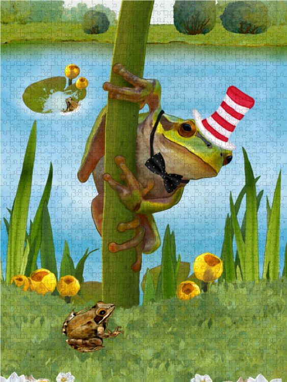 Produktbild: CALVENDO Puzzle Mein Frosch Fridolin | 1000 Teile Lege-Gr&ouml;&szlig;e 64x48cm Foto-Puzzle f&uuml;r gl&uuml;ckliche Stunden