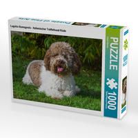 Produktbild: CALVENDO Puzzle Lagotto Romagnolo - Italienischer Tr&uuml;ffelhund R&uuml;de 1000 Teile Lege-Gr&ouml;&szlig;e 64 x 48 cm Foto-Puzzle Bild von Sigrid Starick