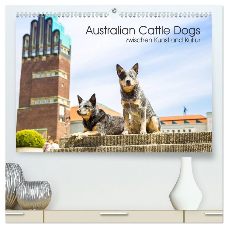 Produktbild: Australian Cattle Dogs zwischen Kunst und Kultur (hochwertiger Premium Wandkalender 2026 DIN A2 quer), Kunstdruck in Hochglanz