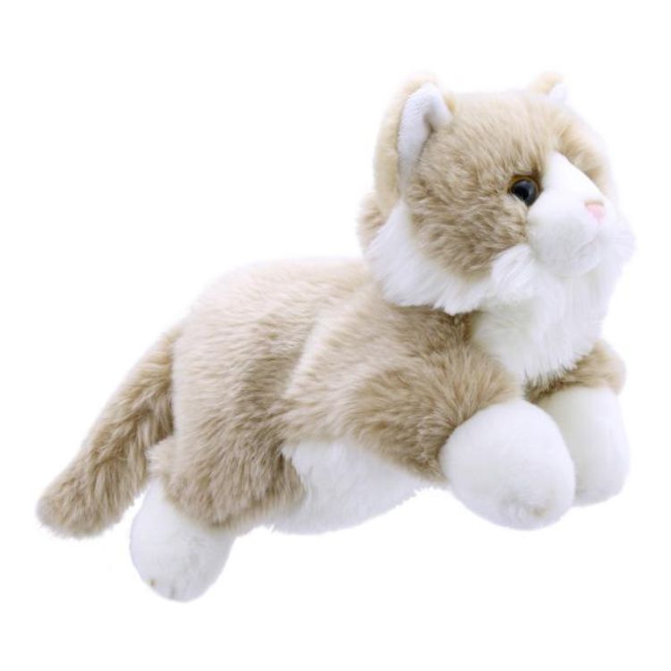 Produktbild: Full - Bodied Beige & White Cat