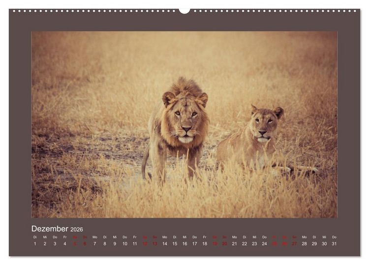 Produktbild: Tansania - Mensch, Tier und Landschaft (Wandkalender 2026 DIN A2 quer), CALVENDO Monatskalender