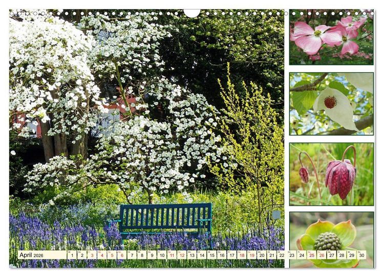 Produktbild: Im Hermannshof - Ein Traumgarten in Weinheim (Wandkalender 2026 DIN A3 quer), CALVENDO Monatskalender