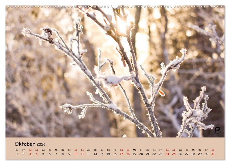 Produktbild: Entdecke den Yukon (Wandkalender 2026 DIN A2 quer), CALVENDO Monatskalender