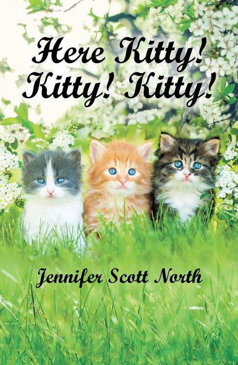 Produktbild: Here, Kitty! Kitty! Kitty!