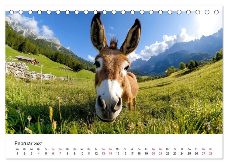 Produktbild: Esel - neugierige Typen (Tischkalender 2027 DIN A5 quer), CALVENDO Monatskalender