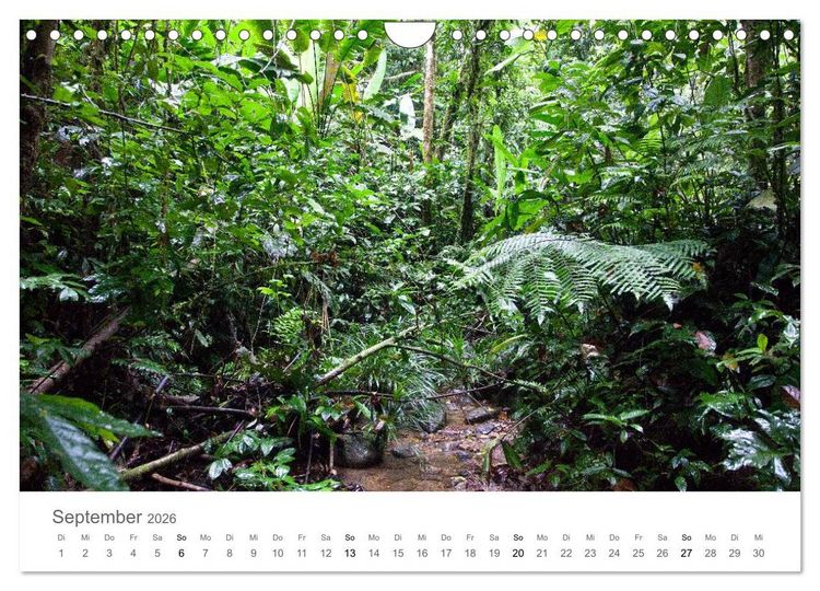 Produktbild: Ecuador - Regenwald und Vulkane (Wandkalender 2026 DIN A4 quer), CALVENDO Monatskalender