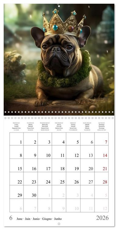 Produktbild: Fairy tale heroes with a wet nose (Wall Calendar 2026 12 &times; 12 Inch) CALVENDO 12 Month Wall Calendar