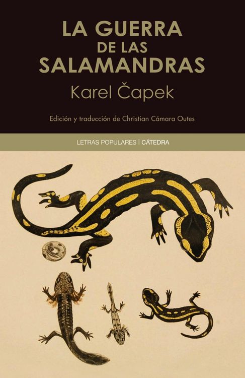 Produktbild: La guerra de las salamandras