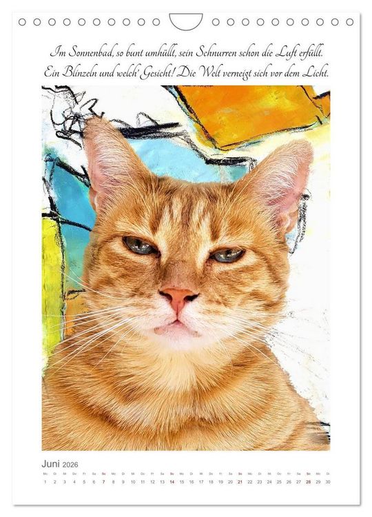 Produktbild: Katzenlyrik - Zw&ouml;lf Seelen auf Samtpfoten in Wort und Bild (Wandkalender 2026 DIN A4 hoch), CALVENDO Monatskalender
