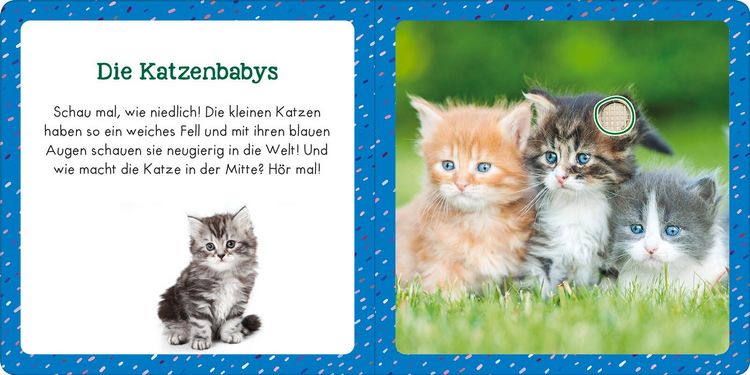 Produktbild: Soundbuch f&uuml;r Klitzekleine &ndash; Kleine Tiere