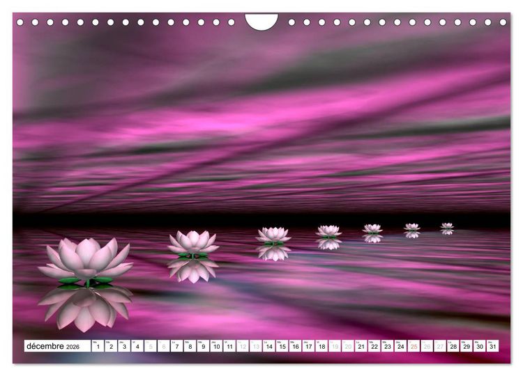 Produktbild: LOTUS M&Eacute;DITATIFS (Calendrier mural 2026 DIN A4 vertical), CALVENDO calendrier mensuel