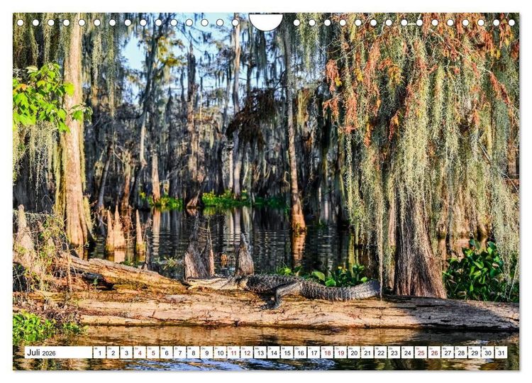 Produktbild: Louisiana - S&uuml;mpfe und Plantagenh&auml;user (Wandkalender 2026 DIN A4 quer), CALVENDO Monatskalender