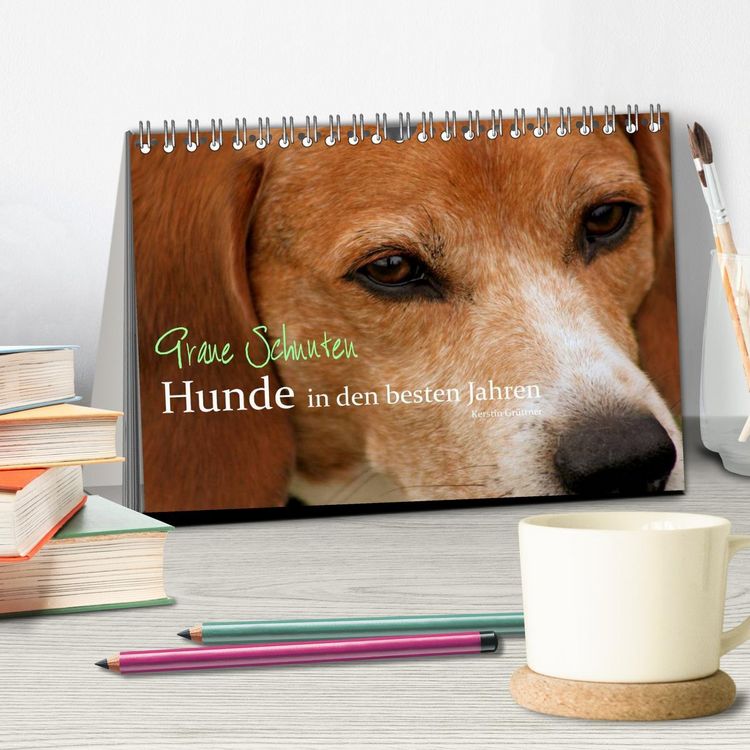 Produktbild: Graue Schnuten - Hunde in den besten Jahren (Tischkalender 2026 DIN A5 quer), CALVENDO Monatskalender