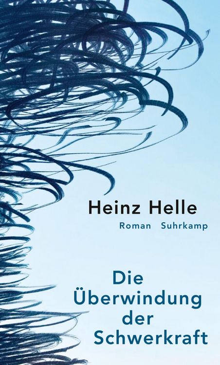 Produktbild: Die &Uuml;berwindung der Schwerkraft