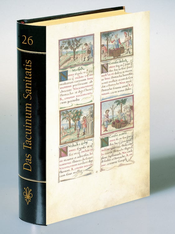 Produktbild: Glanzlichter der Buchkunst