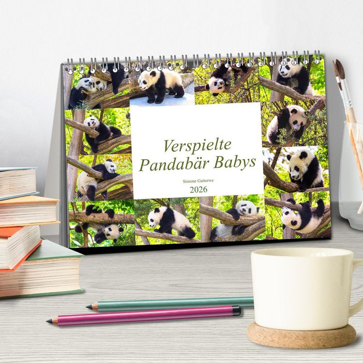 Produktbild: Pandab&auml;r Babys (Tischkalender 2026 DIN A5 quer), CALVENDO Monatskalender