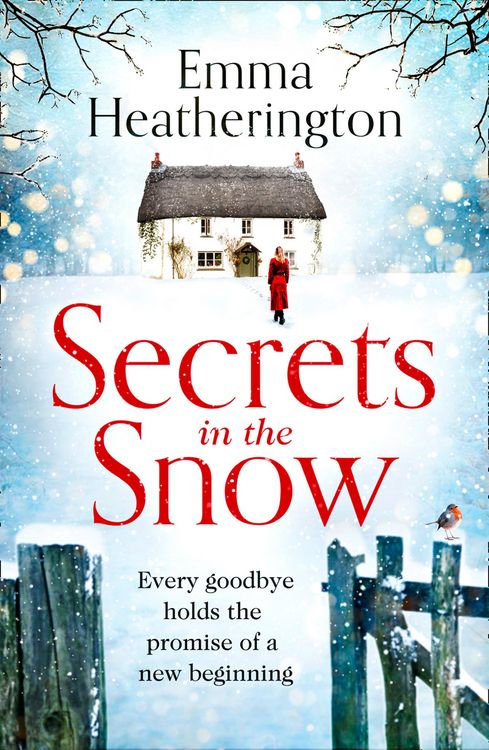Produktbild: Secrets in the Snow