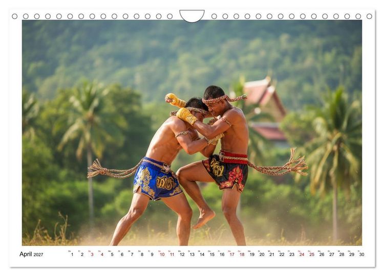 Produktbild: Martial Arts - Kampf und Eleganz (Wandkalender 2027 DIN A4 quer), CALVENDO Monatskalender
