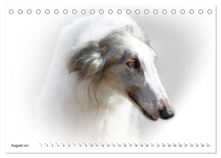 Produktbild: Windhund Portrait 2027 White Edition (Tischkalender 2027 DIN A5 quer), CALVENDO Monatskalender