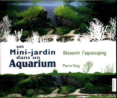 Produktbild: Un mini-jardin dans un aquarium: d&eacute;couvrir l'aquascaping
