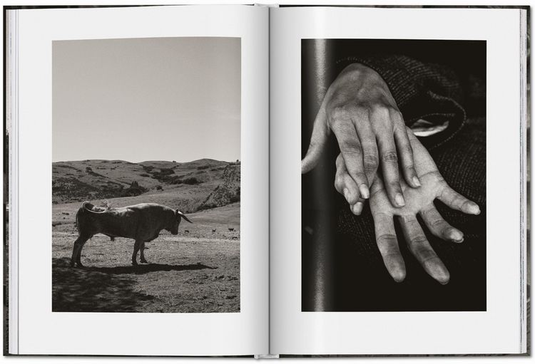 Produktbild: Peter Lindbergh