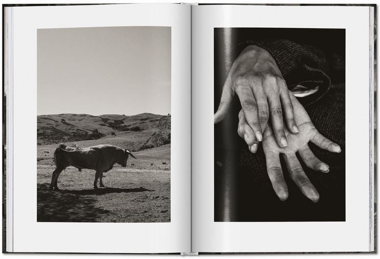 Produktbild: Peter Lindbergh. Untold Stories