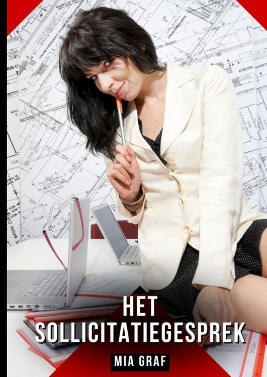 Produktbild: Het sollicitatiegesprek