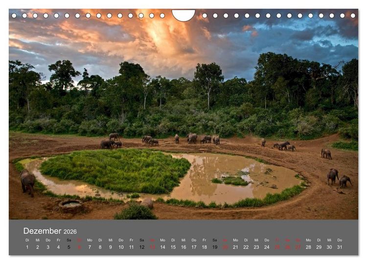 Produktbild: Ich tr&auml;umte von Afrika (Wandkalender 2026 DIN A4 quer), CALVENDO Monatskalender