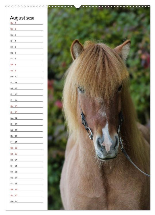 Produktbild: Isl&auml;nder im Portrait (hochwertiger Premium Wandkalender 2026 DIN A2 hoch), Kunstdruck in Hochglanz