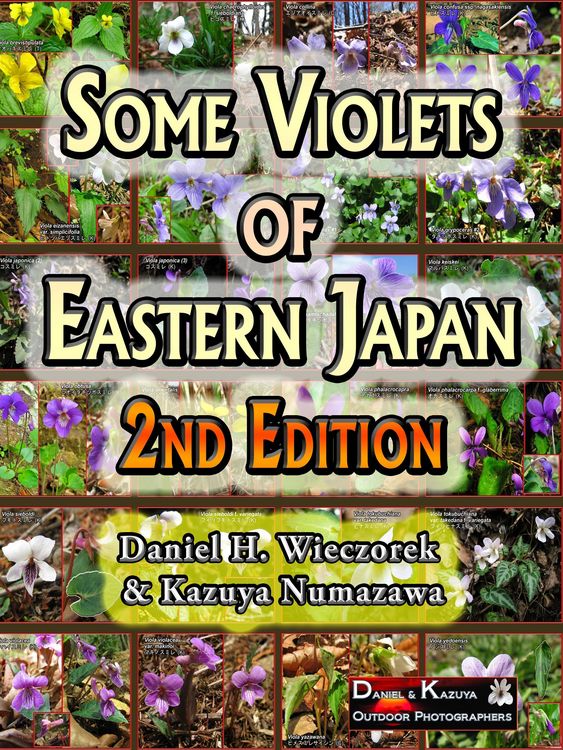Produktbild: Some Violets of Eastern Japan - 2nd Edition