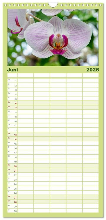 Produktbild: Familienplaner 2026 - Wunderbare Orchideen mit 5 Spalten (Wandkalender, 21 x 45 cm) CALVENDO
