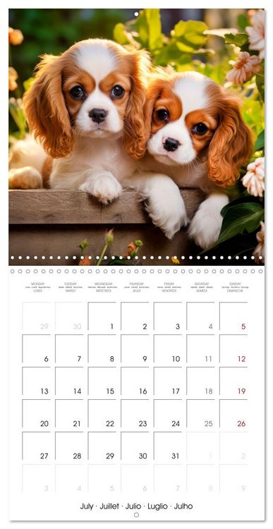 Produktbild: Cute PUPPY PERSONALITIES (Wall Calendar 2026 12 &times; 12 Inch) CALVENDO 12 Month Wall Calendar