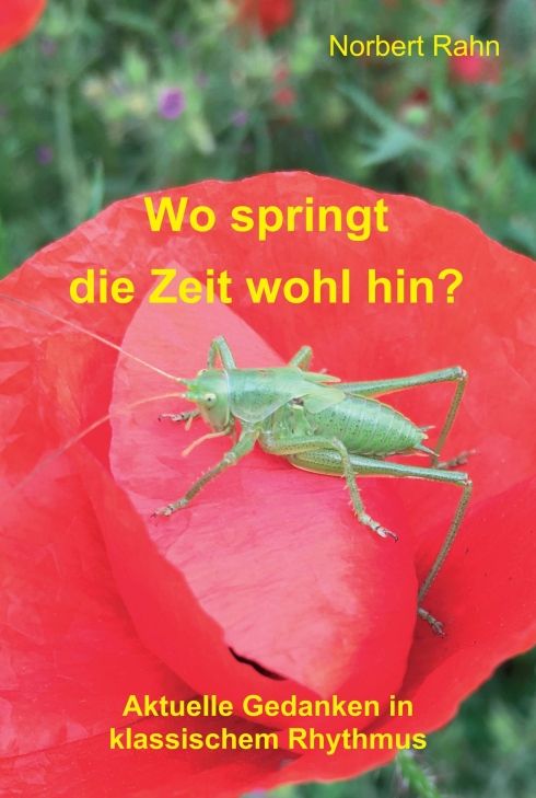 Produktbild: Wo springt die Zeit wohl hin?