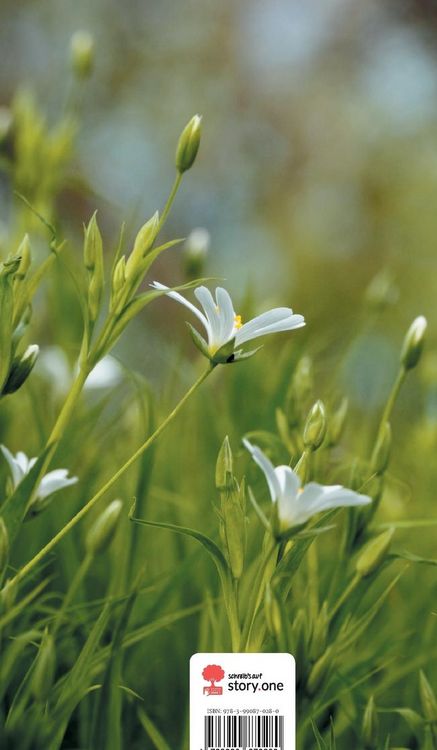 Produktbild: Mach es wie die Sonnenuhr. Life is a Story - story.one
