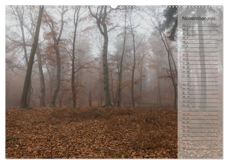 Produktbild: Unser Wald - Magische Sichten in norddeutsche W&auml;lder / Geburtstagskalender (hochwertiger Premium Wandkalender 2026 DIN A2 quer), Kunstdruck in Hochglanz