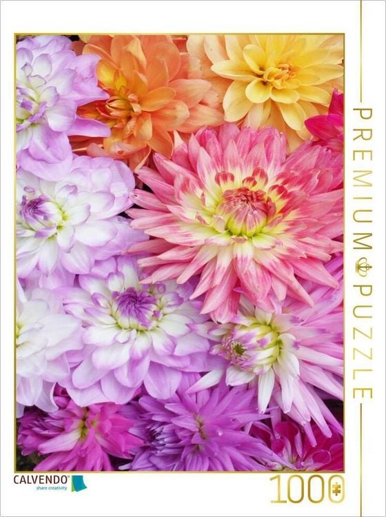 Produktbild: CALVENDO Puzzle Dahlien | 1000 Teile Lege-Gr&ouml;&szlig;e 64x48cm Foto-Puzzle f&uuml;r gl&uuml;ckliche Stunden