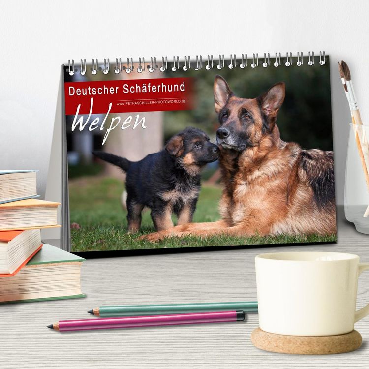 Produktbild: Deutscher Sch&auml;ferhund - Welpen (Tischkalender 2026 DIN A5 quer), CALVENDO Monatskalender